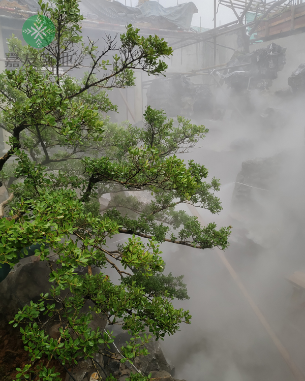 广州极悦“极悦注册”雾森系统应用假山造雾项目案例