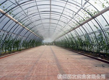 极悦注册浙江米果果小镇喷雾降温造景案例