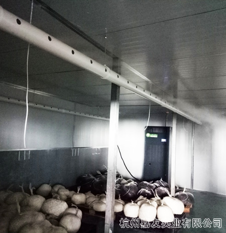 广州极悦-超声波加湿器