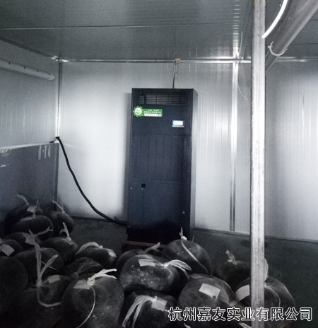 广州极悦恒湿机